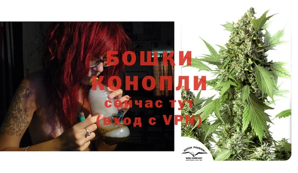 соль ск Белокуриха